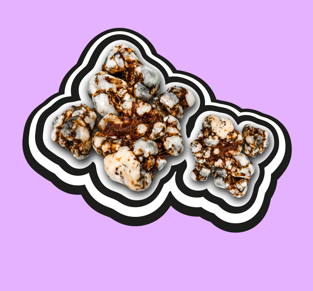 SMLOVE_cat-trufas.jpg